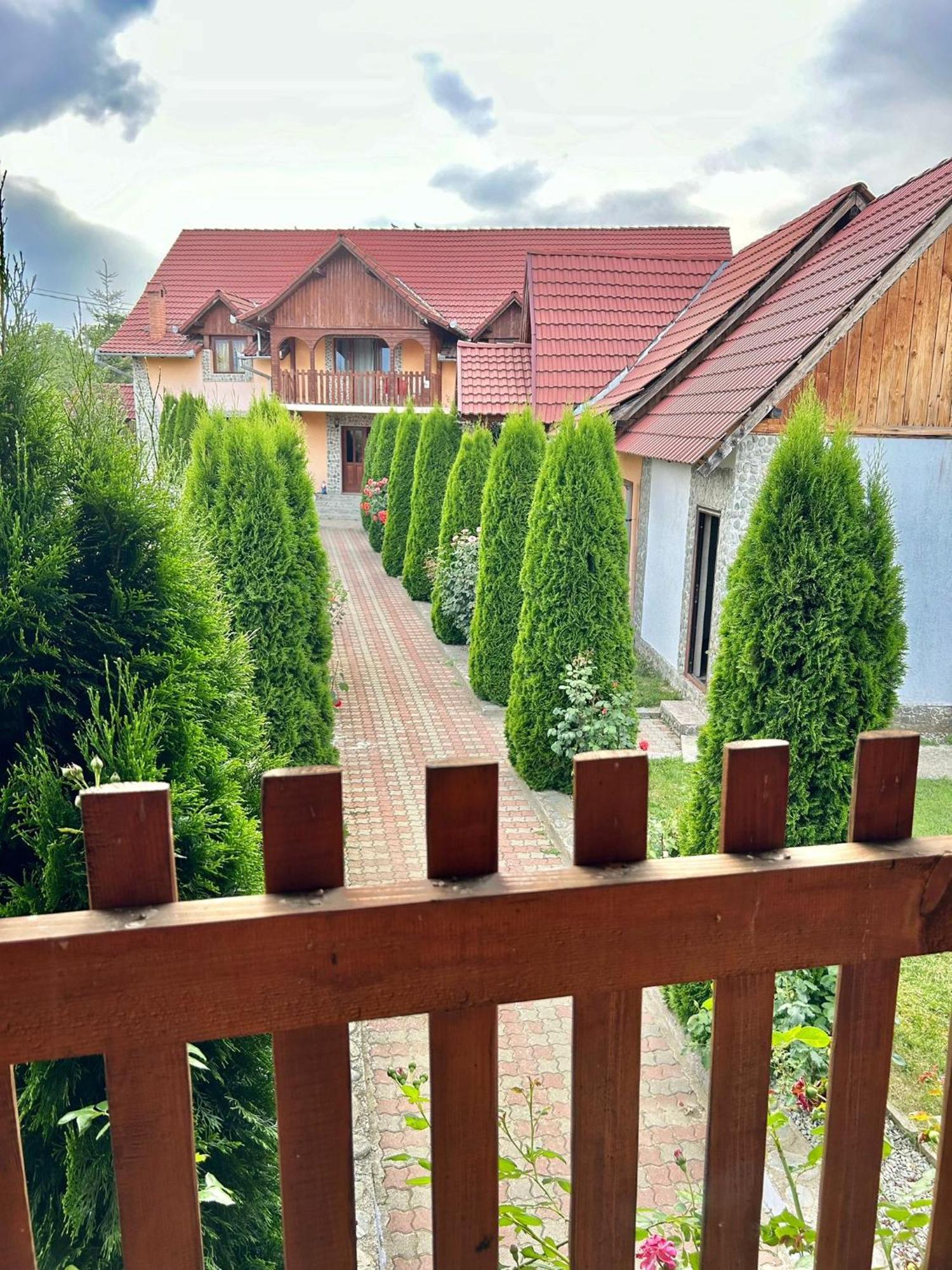 Pensiunea Casa Nina Cîrţişoara Екстериор снимка