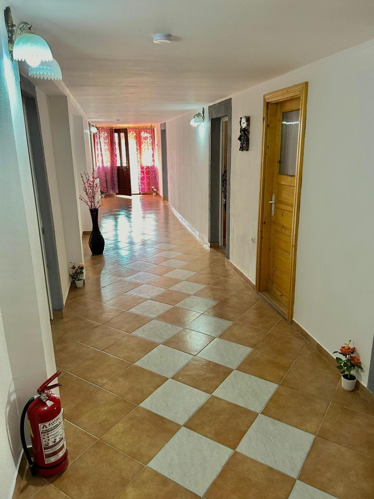 Pensiunea Casa Nina Cîrţişoara Екстериор снимка