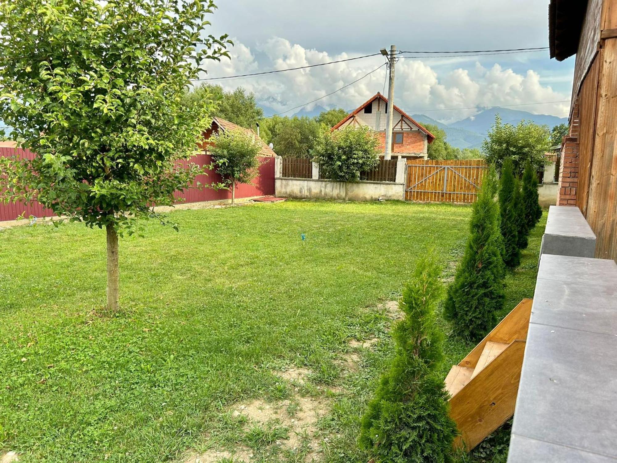 Pensiunea Casa Nina Cîrţişoara Екстериор снимка