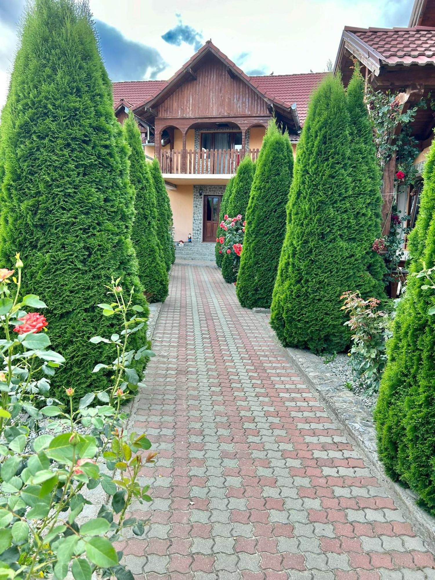 Pensiunea Casa Nina Cîrţişoara Екстериор снимка