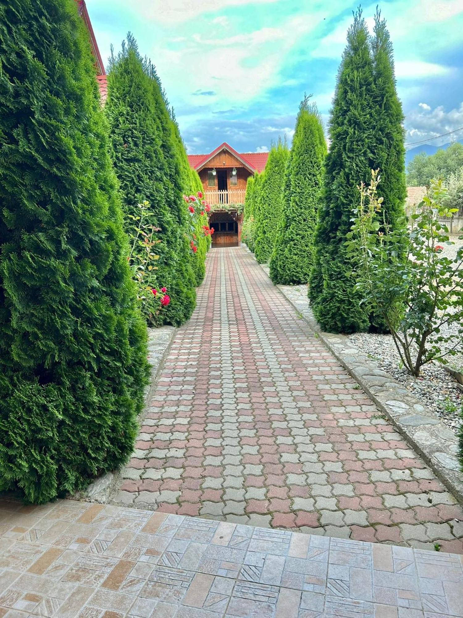 Pensiunea Casa Nina Cîrţişoara Екстериор снимка